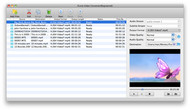 iFunia Video Converter for Mac screenshot